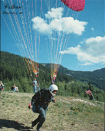 Colleen in Flight